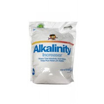 Swim N Spa Balancer: Total Alkalinity Increaser (10 LB.)